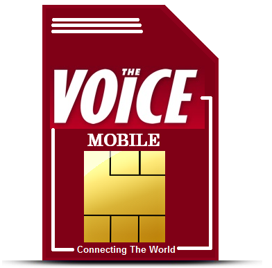 voice sim card